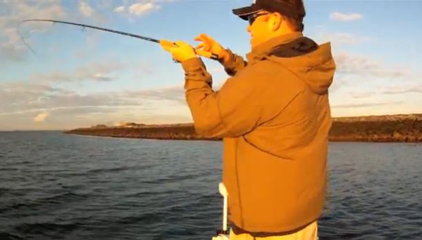 VIDEO: Rock Wall Reds